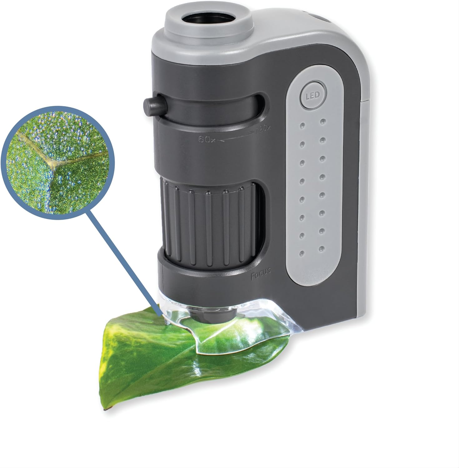 Carson MicroBrite Plus 60x-120x LED Lighted Pocket Microscope, Portable Handheld Microscope for Adults, Mini Microscope for Student Science Lab, STEM Educational Portable Microscope (MM-300)