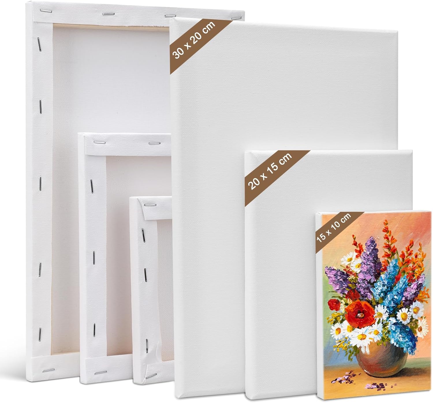 Kigniote Canvas Set 6 PCS Canvas for Painting 30 x 20,20 x 15,15 x 10 cm Canvases, Stretched Blank Canvas for Painting Art Canvas Board for Oil Painting Acrylic Painting Canvas Boards for Artist