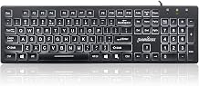 Perixx PERIBOARD-317 Wired Backlit USB Keyboard, Big Print Letter with White Illuminated LED, US English Layout,Black
