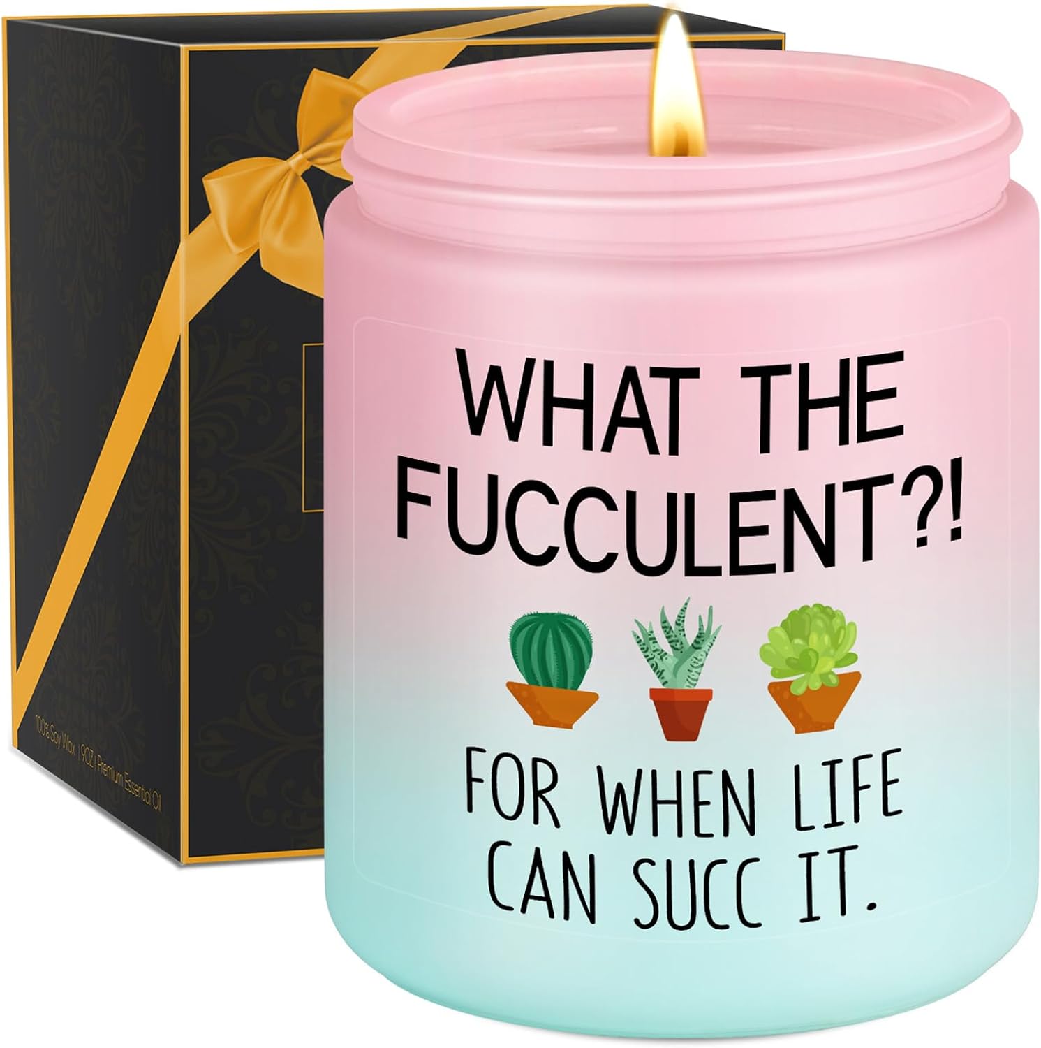 Miracu Succulent Candle, Get Well Presents for Women, Her, Cheer up Ideas, Pick Me up, Break up, Plant Lover Gifts for Women, Funny Birthday Christmas Cool Gifts for Plant Lovers Mom Lady Friend Wife