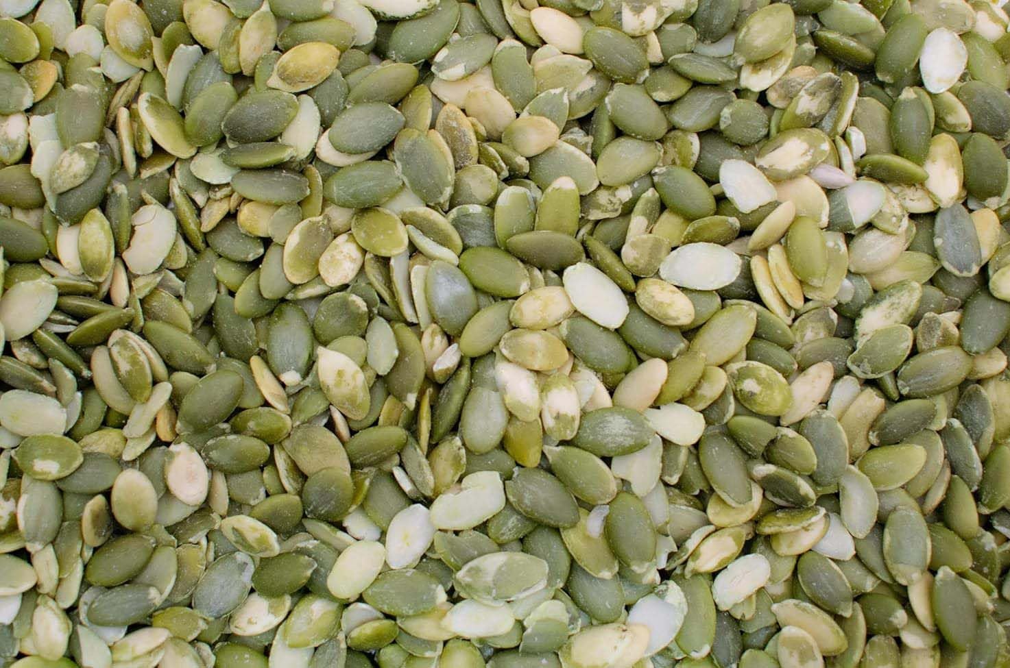 Pumpkin Seeds 500g - Premium Pumpkin Seed Kernels - Bulk Bag - Ready to Eat - Blue Forest Foods