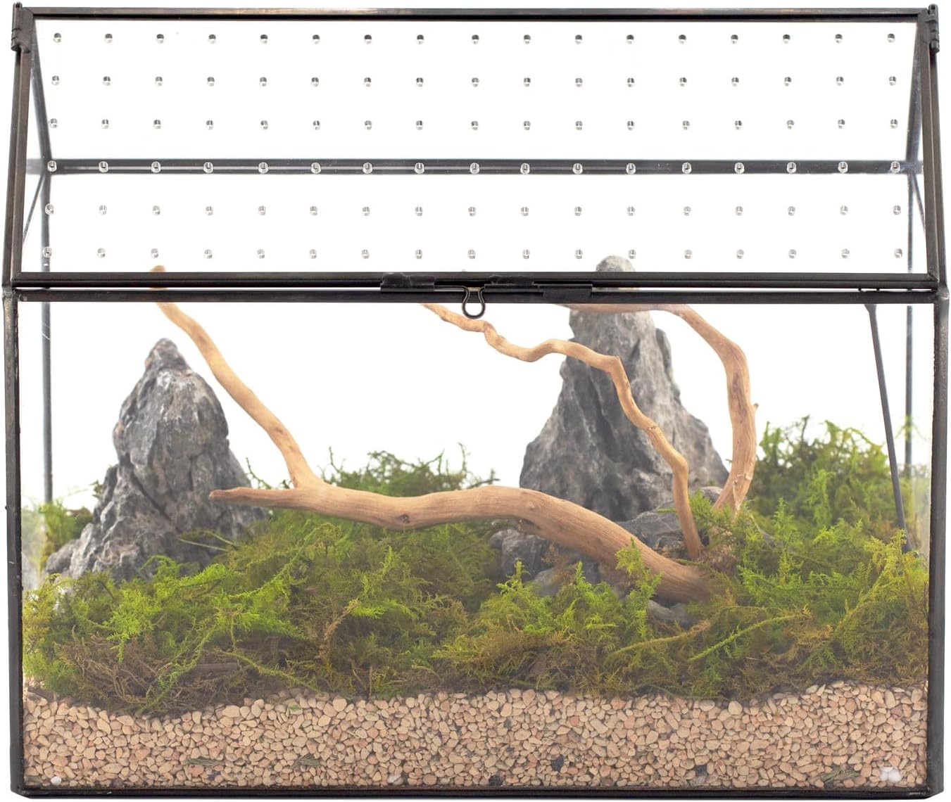NCYP House Shape Glass Terrarium with Acrylic Lid - 26x15x21 cm, Large Geometric Terrarium Box for Snails, Ferns, Succulents, Air Plants, Tabletop Black Decor (Plants NOT Included)
