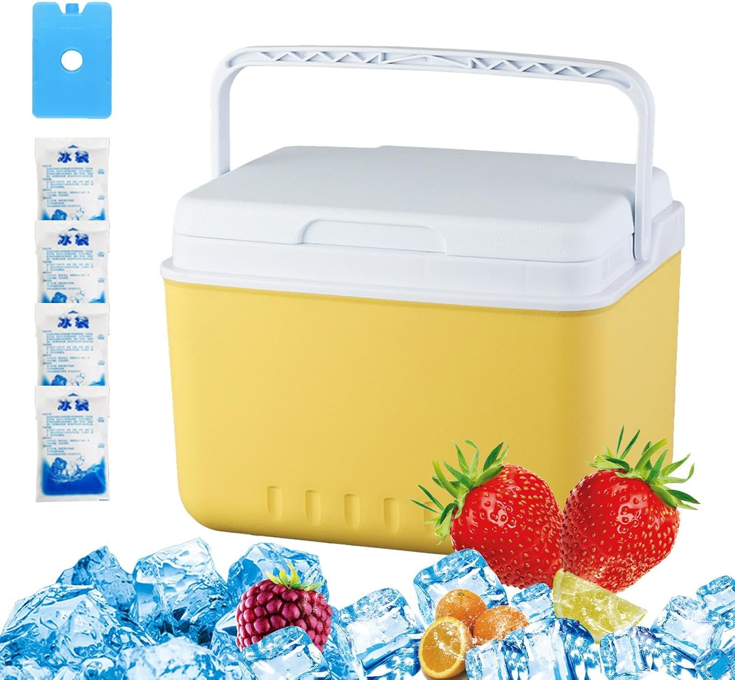 YNPQTDS 26x19x20cm Cooler Box Insulated Cool Box Chiller With Handle Small Refrigerator Leak Proof Portable Storage Container Freezer For Travel Hiking BBQ