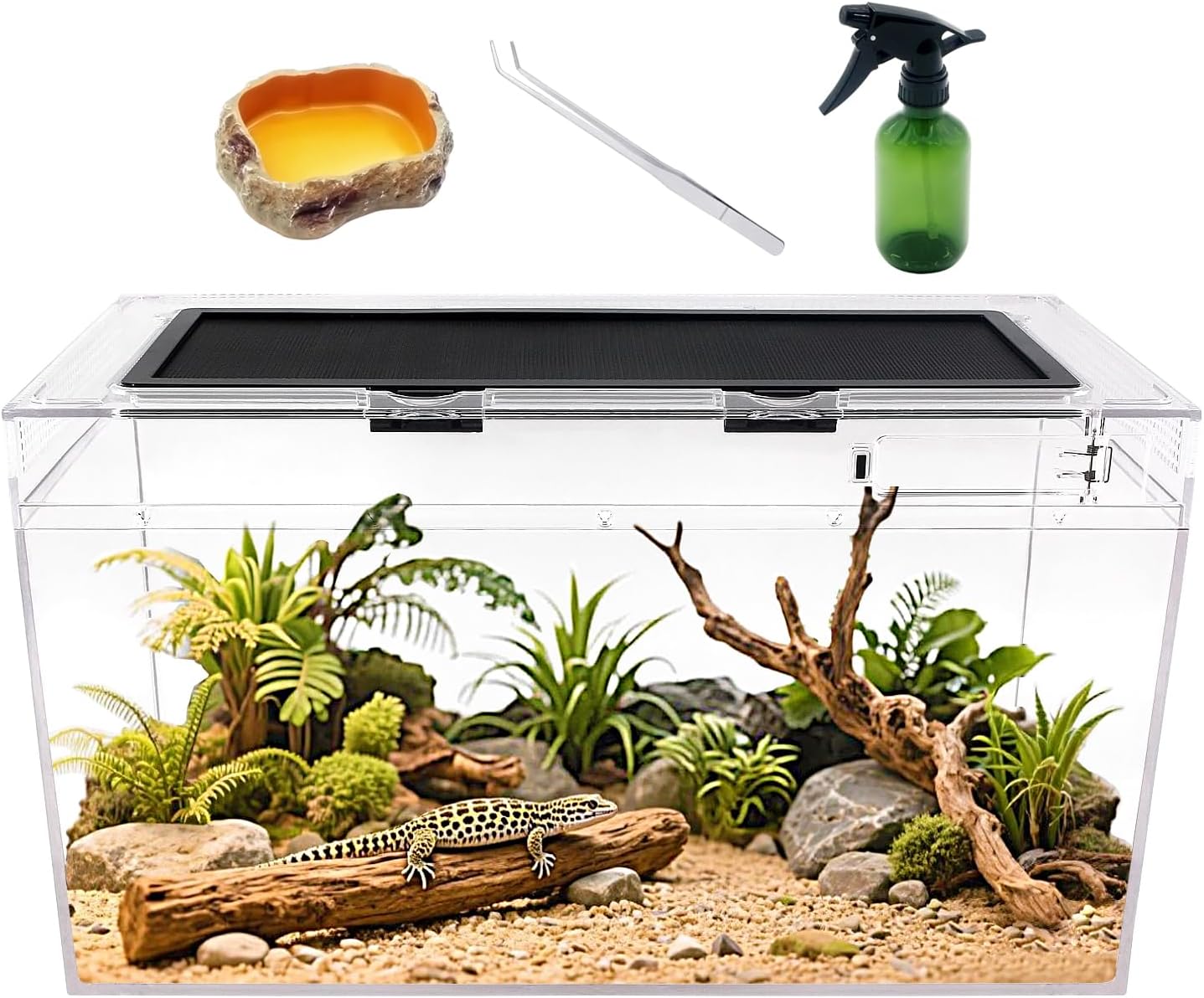 Reptile Growth Reptile Terrarium Kit, Reptile Tank 20" x 10"x 11", with Stainless Steel Tweezer, Spray Bottles,Water Food Bowl，Terrarium Reptile for Gecko Hermit Crab Bearded Dragon Lizard