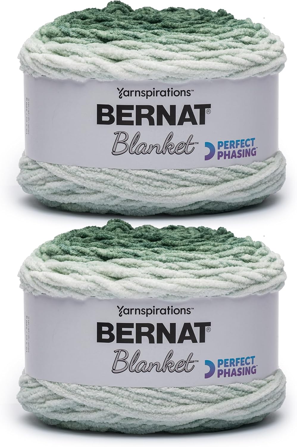 Bernat Blanket Perfect Phasing Soft Crochet Yarn, Forest 2-Pack