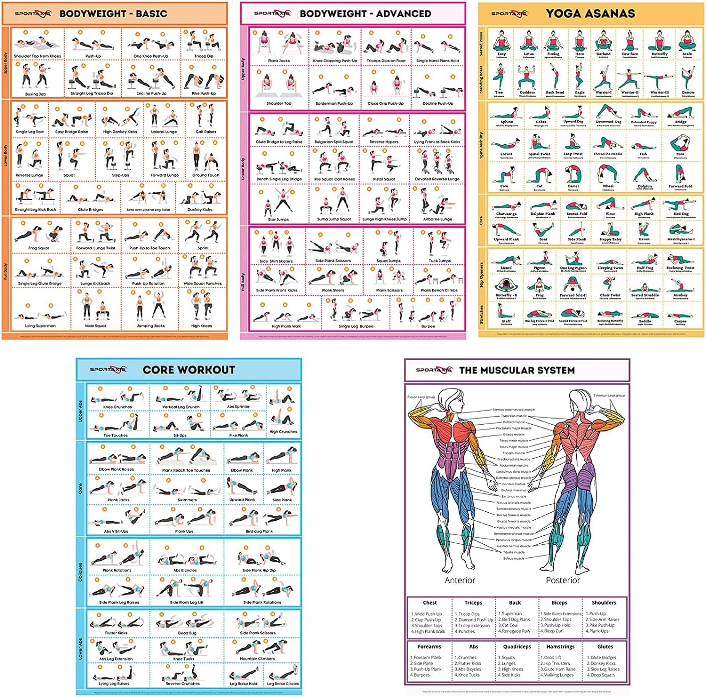 SPORTAXIS No-Equipment Laminated Home Workout Posters With Colored Illustrations- Men And Women Workout-Bodyweight Basic (Pack Of 5) 18 X 27