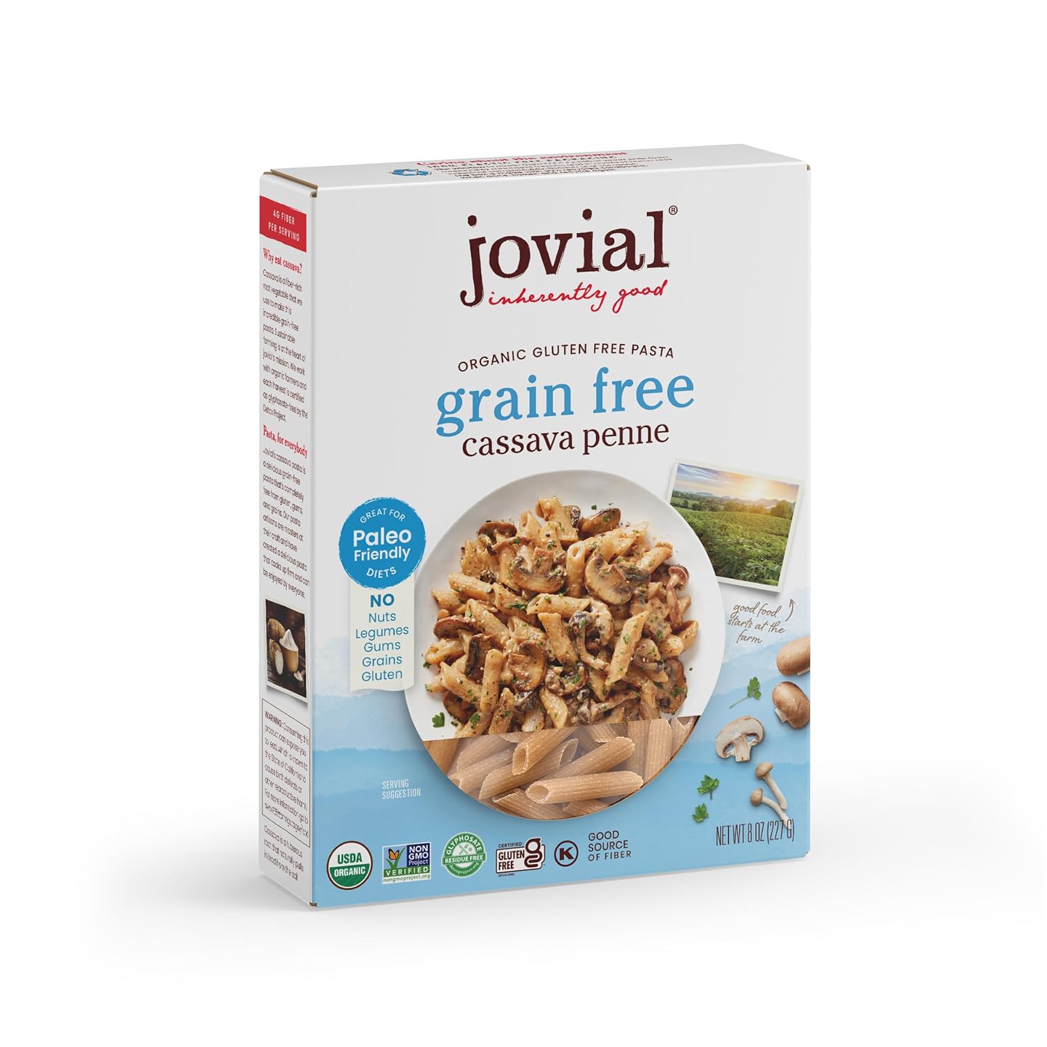 Jovial Grain-Free Cassava Penne Rigate - Penne Pasta Noodles, Cassava Pasta, Penne Pasta Organic, Paleo Pasta, Certified Gluten-Free, USDA Certified Organic, Non-GMO, High-Fiber - 8 Oz, 1 Pack