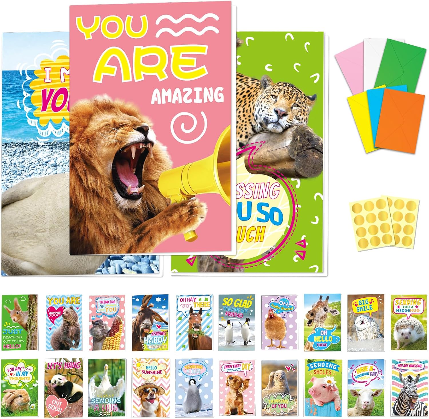 Funny Animal Greeting Cards 24 Sets with Envelopes Stickers Blank Bulk Cards Thinking of You Miss You Hello Note Cards Unique Designs for Kids Students Teacher Family Gifts Cards 4x6 In