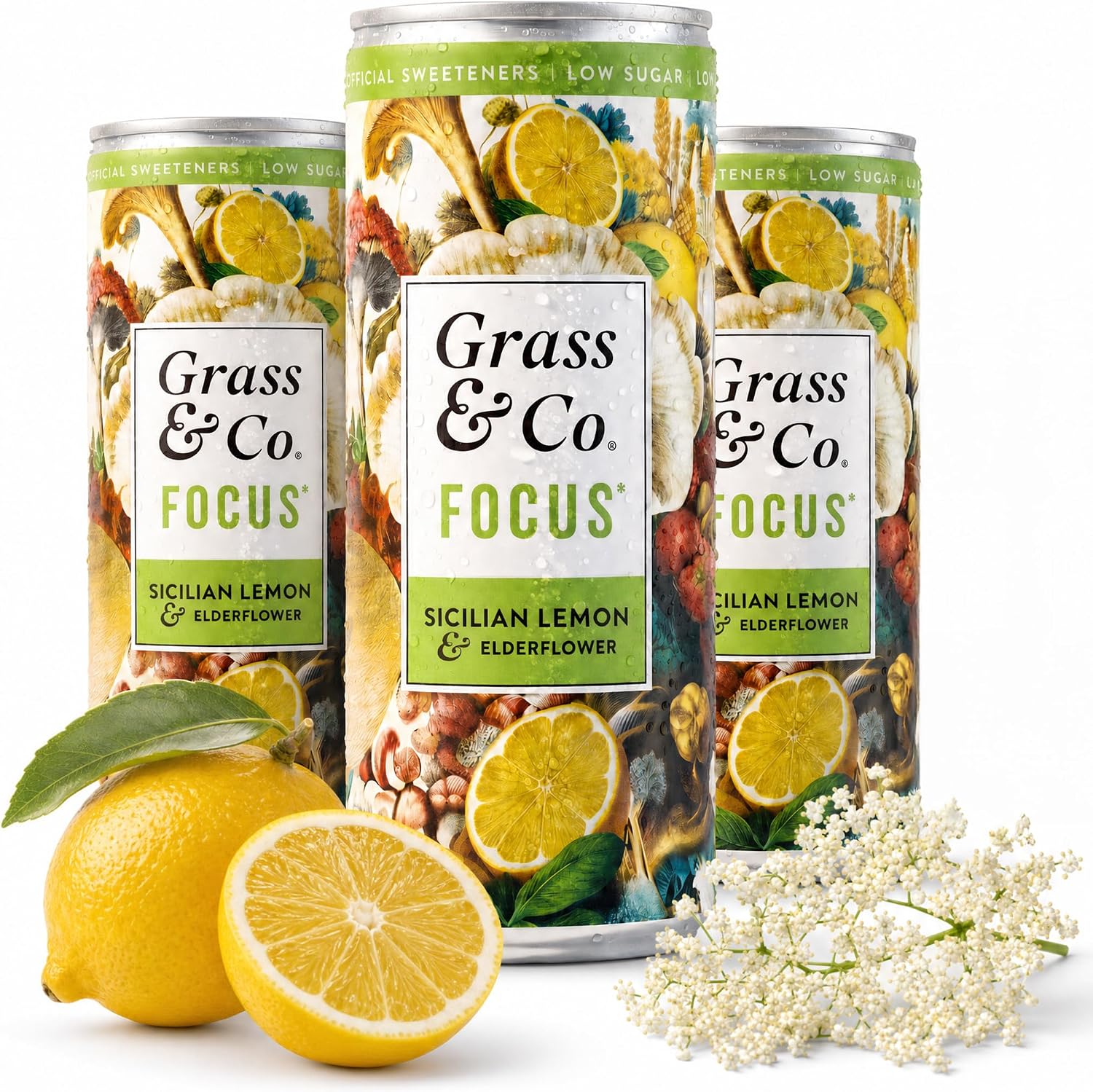 Grass & Co. Nootropics Drinks with Lion's Mane (1000mg), Omega-3, Ginseng, Vitamin B12 & More | Liquid Focus | Elderflower & Sicilian Lemon | Lightly Sparkling | Vegan | 12 x 250ml Cans
