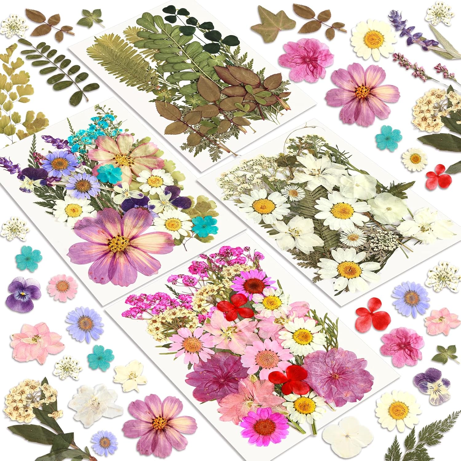 Dried Flowers, Resiners 100Pcs Pressed Flowers for Craft