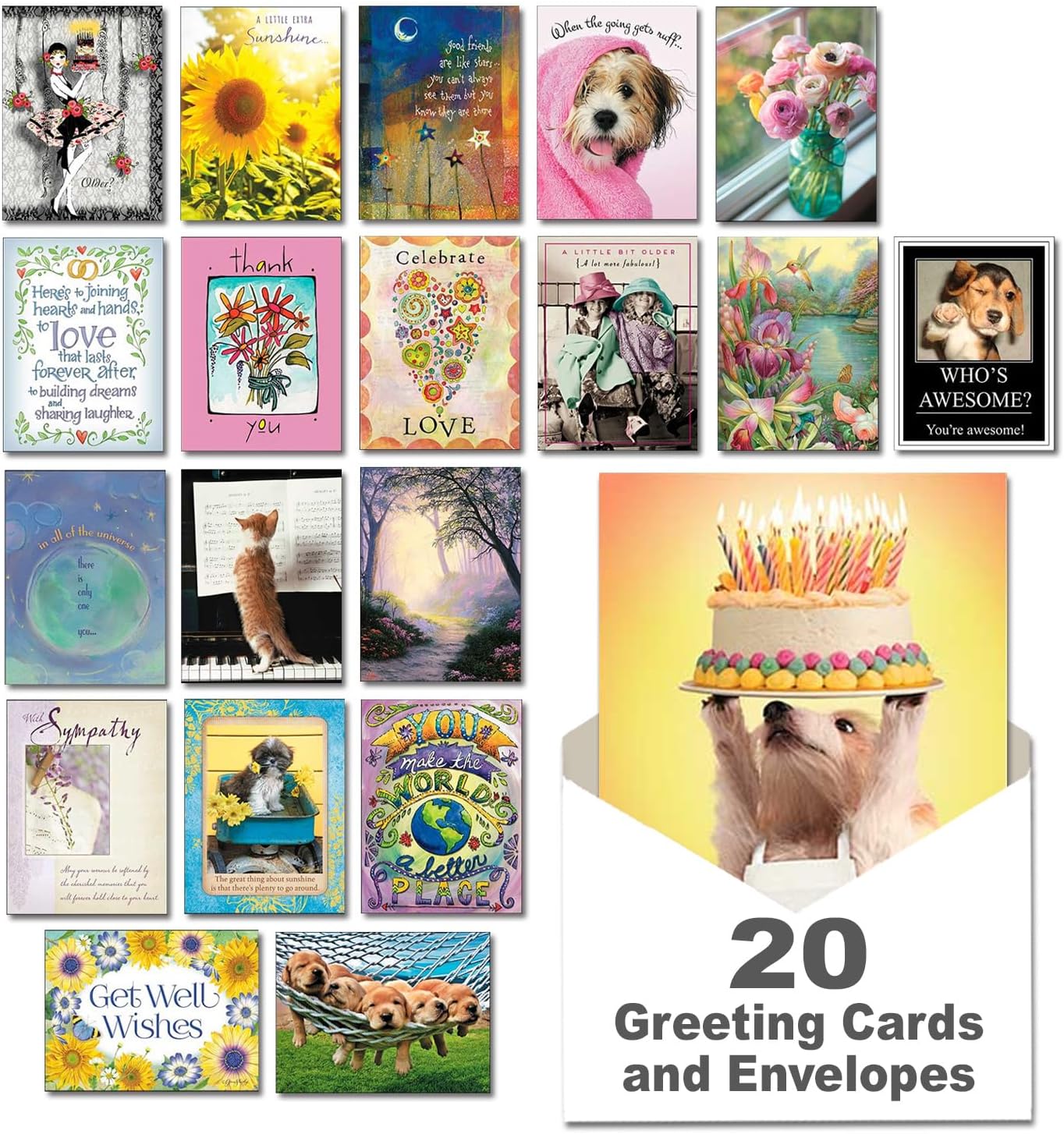 Leanin' Tree, Best Wishes, 20 All Occasion Cards Assortment Box with Envelopes, Greeting Cards Assortment Box, Perfect for Birthdays, Thinking of You, Encouragement, Sympathy and more