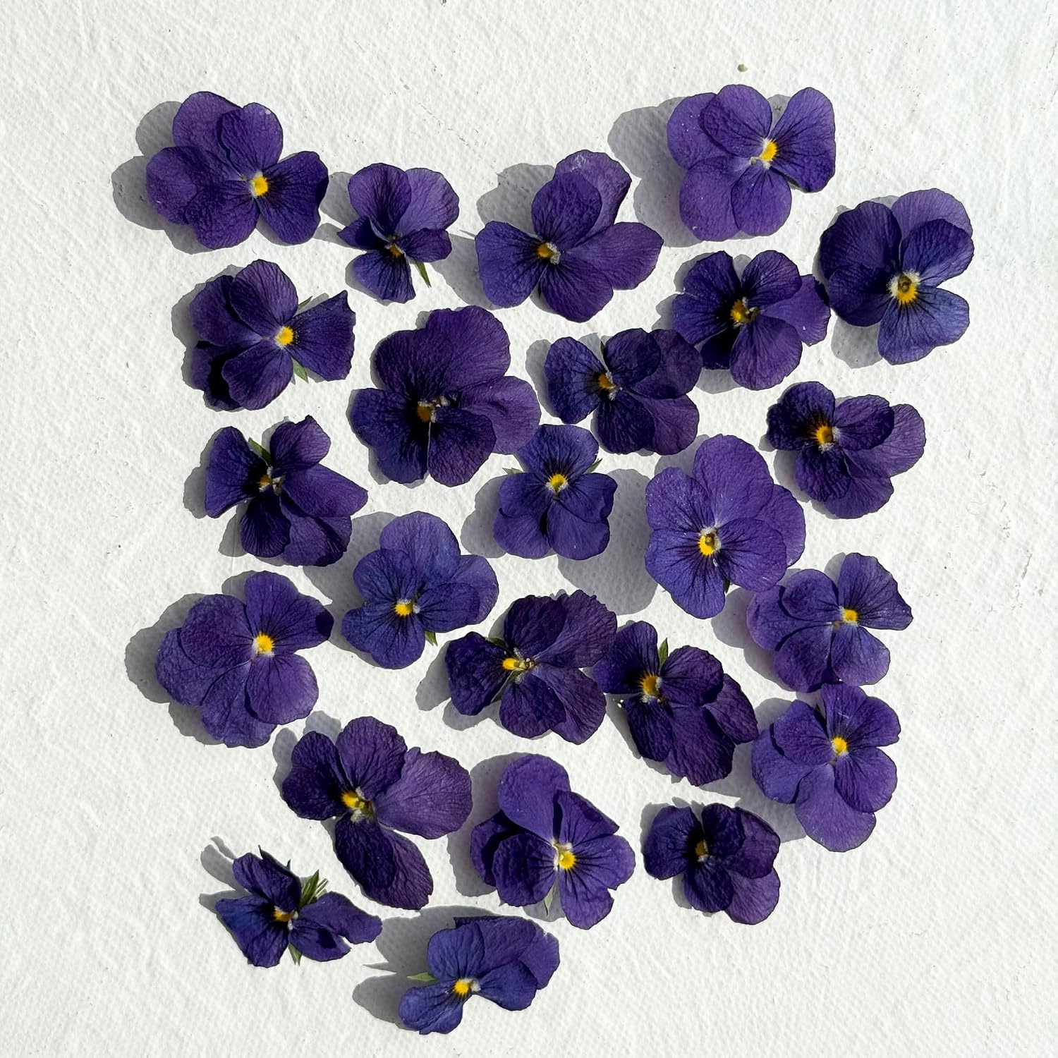 Edible Freeze Dried Purple Violas - 20 Flower Heads - UK Product – Certified Food Grade (526)