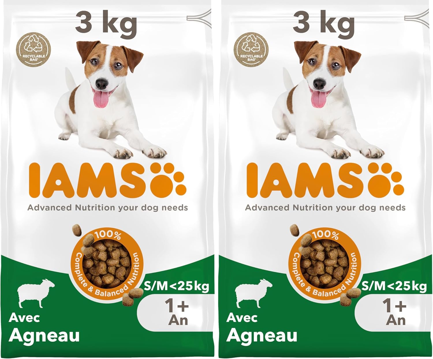 IAMS Complete Dry Dog Food for Adult 1+ Small and Medium Breeds with Lamb 3 kg (Pack of 2)