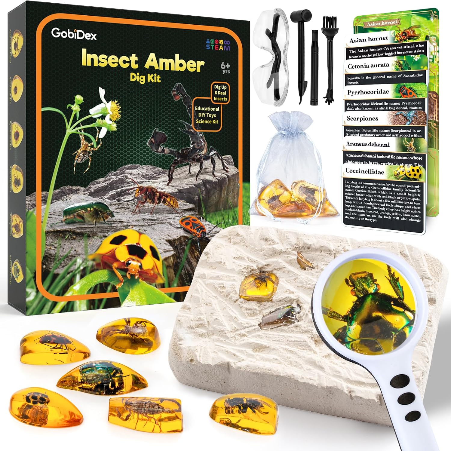 GobiDex Amber Dig Kit-Artificial Insect Resin, Excavate 6 Insects Specimens, STEM Geographic Educational Bugs Toys, Excavation Toys for Fun Bugs Party Favors, Science Kits for Kids Age 6-8 8-12
