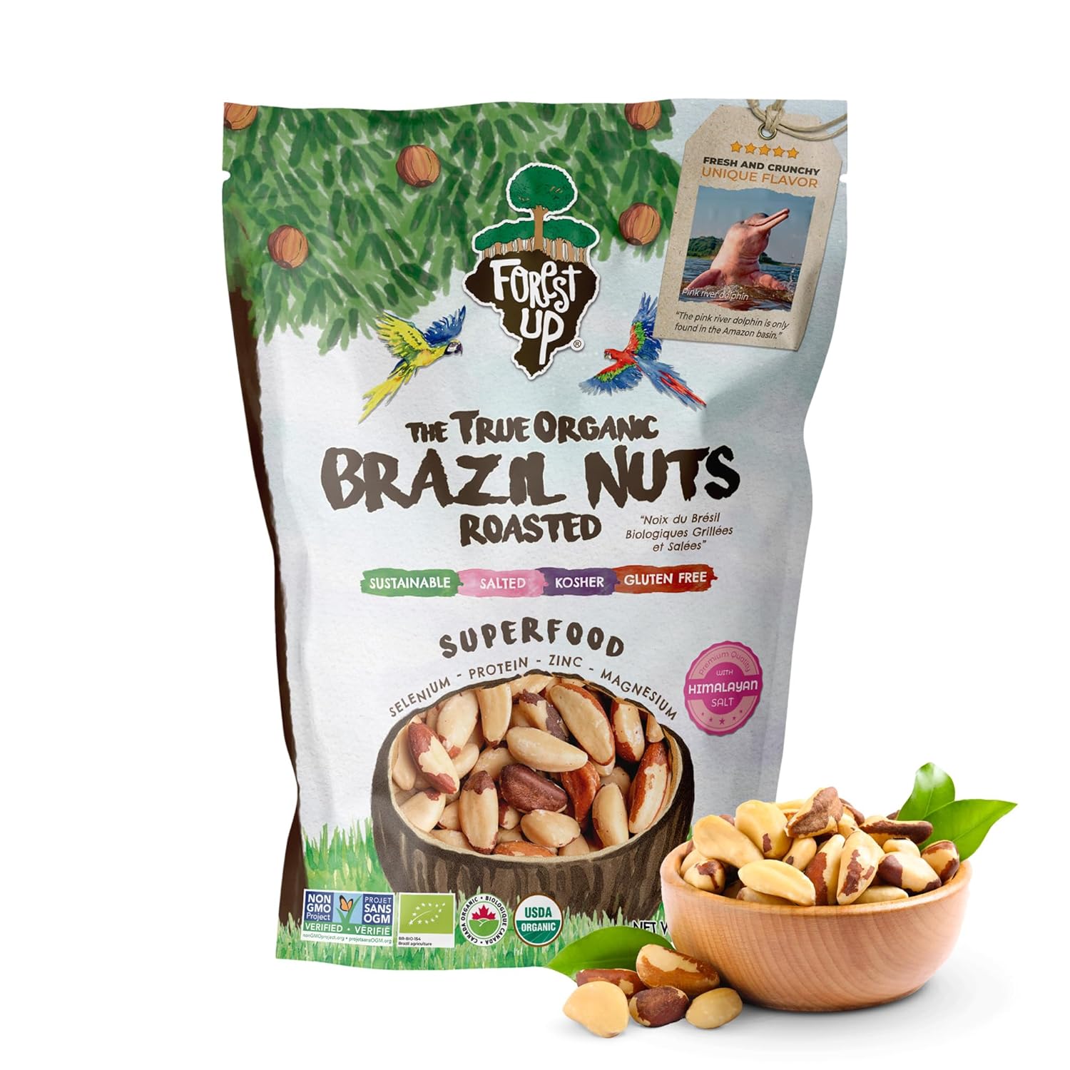FLORESTA EM PÉ - The True Organic Premium Brazil Nuts (15oz) Roasted & Himalayan Salt | KOSHER | Non-Gmo | Certified Organic | No Oil | Fresh | Vegan | Gluten Free | Keto and Paleo Friendly | Sustainably Harvested