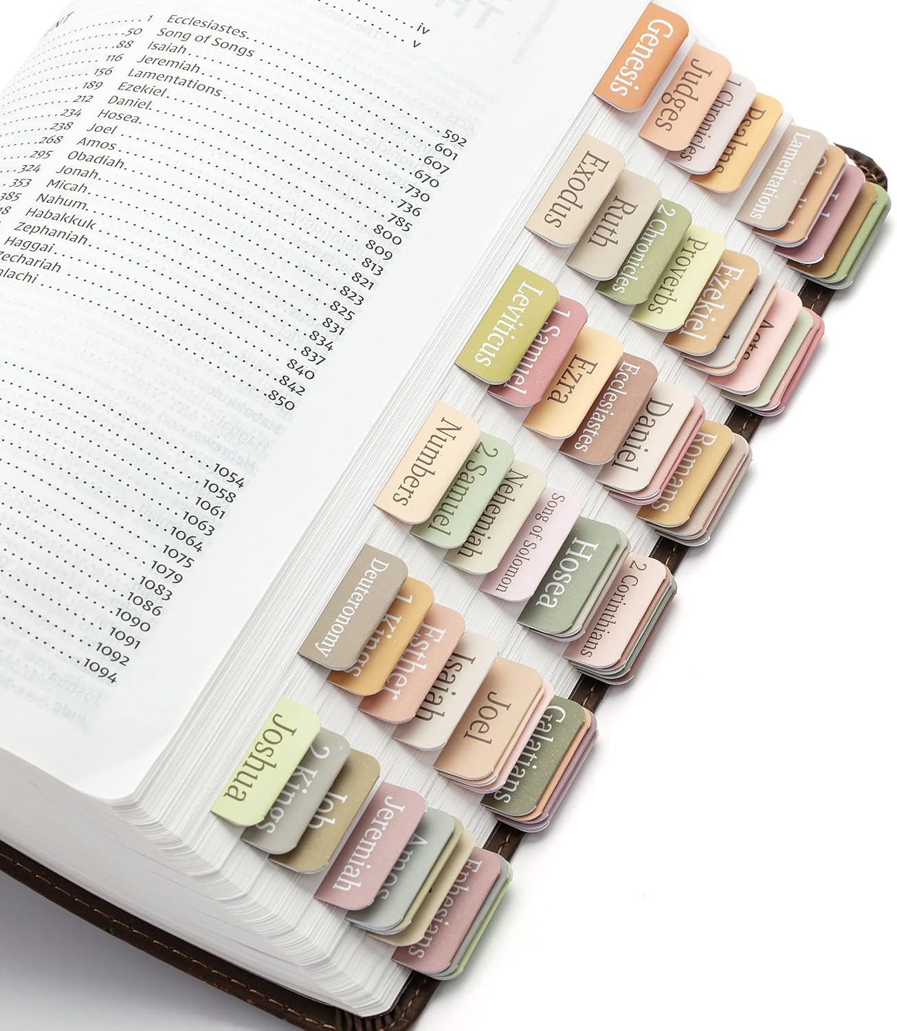 Mr. Pen- Bible Tabs, 75 Boho Theme Laminated Tabs for Women and Men, Study Bible Index, Book Labels