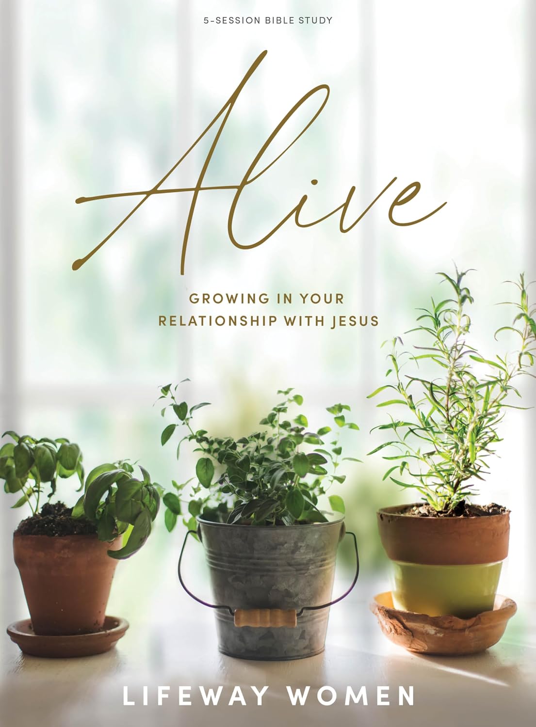 Alive: Growing in Your Relationship with Jesus – Bible Study for Women