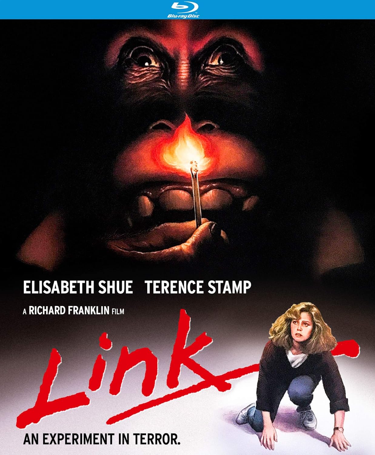 Link (Special Edition) [Blu-ray]