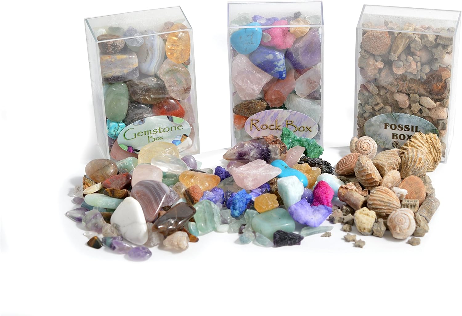 Fossil, Rock and Gemstone Box Collection. Set of 3 Boxes