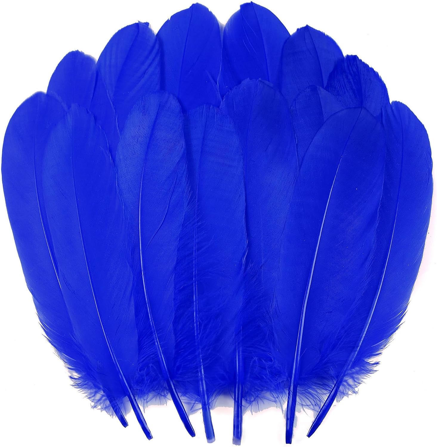 Ballinger Blue Large Goose Feather Bulk for Crafts,120Pcs,6-8inch