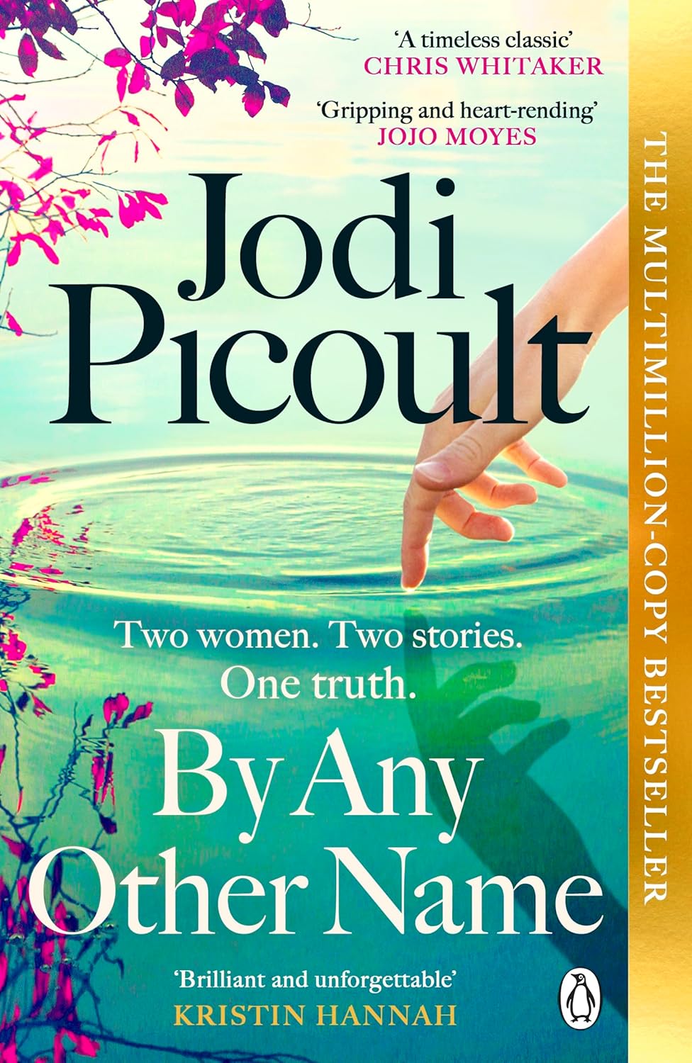 By Any Other Name: The No.1 New York Times bestseller from the author of My Sister’s Keeper and Mad Honey
