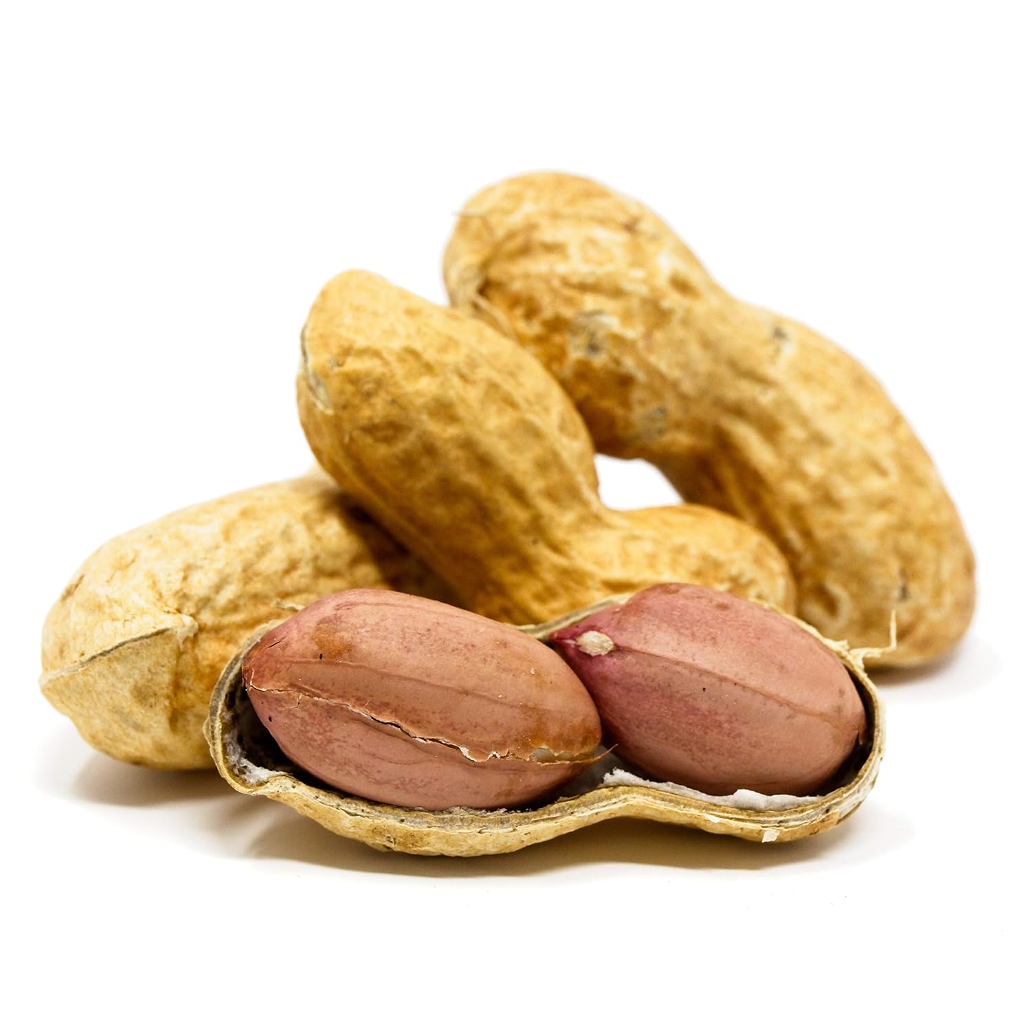 Sky | Premium USA Grown, Raw Peanuts in Shell For Squirrels, 4lb | Unsalted Peanuts In The Shell, Boiled Peanuts, Jumbo Raw Peanuts in the Shell, Squirrel Peanuts in Shell Unsalted