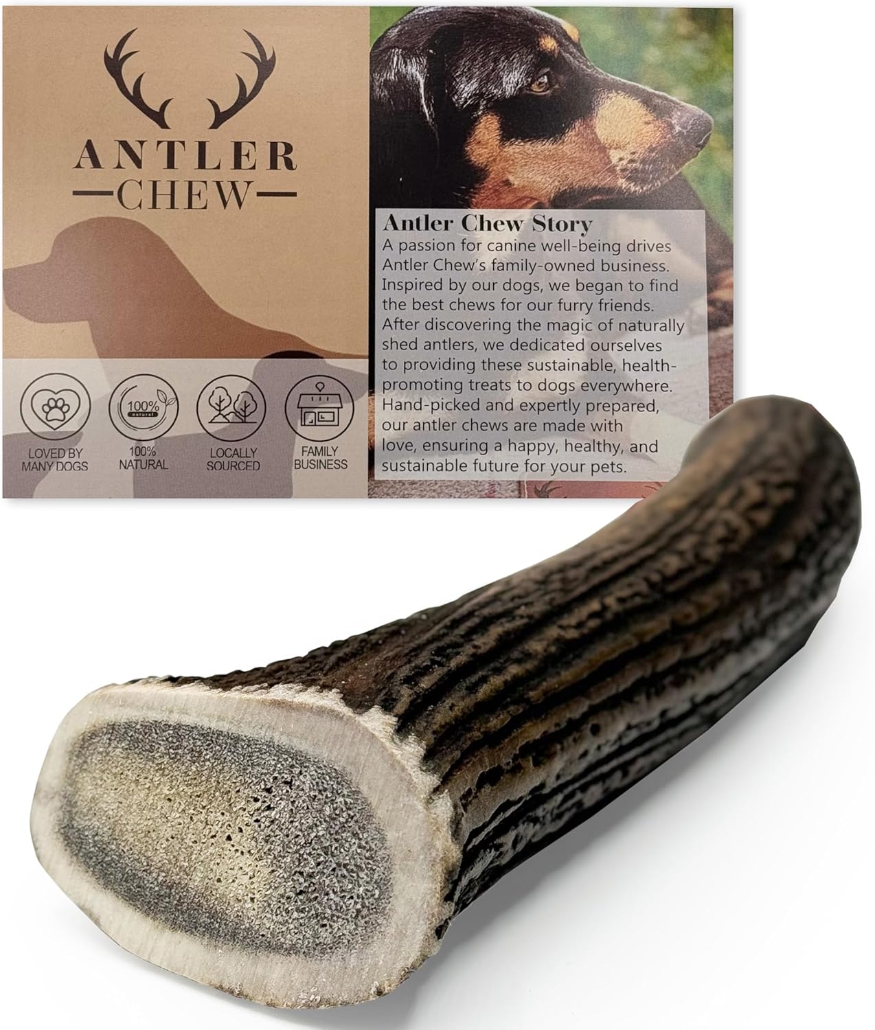 Large Antler Dog Chew (130–180g, From 13cm) | Naturally Shed & Sanded | Long-Lasting, Odourless Chew for Moderate Chewers | Supports Dental Health