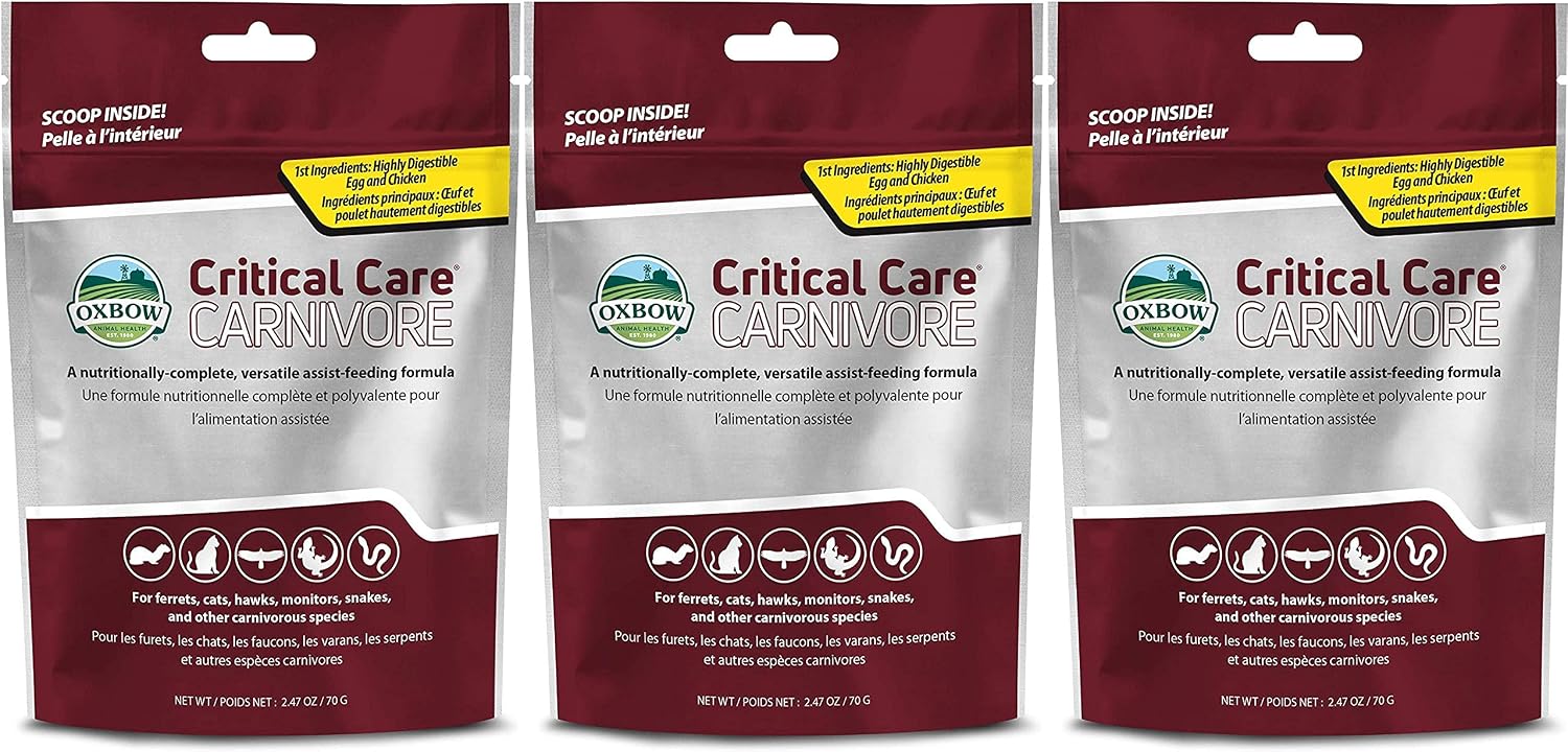 Oxbow 3 Pack of Critical Care Carnivore, 2.47 Ounces Each, Support Supplement for Small Pets