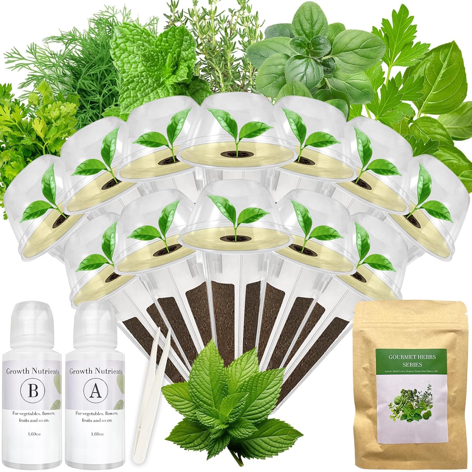 Gourmet Herb Seed Pod Kit for Hydroponic System– 12 Pods