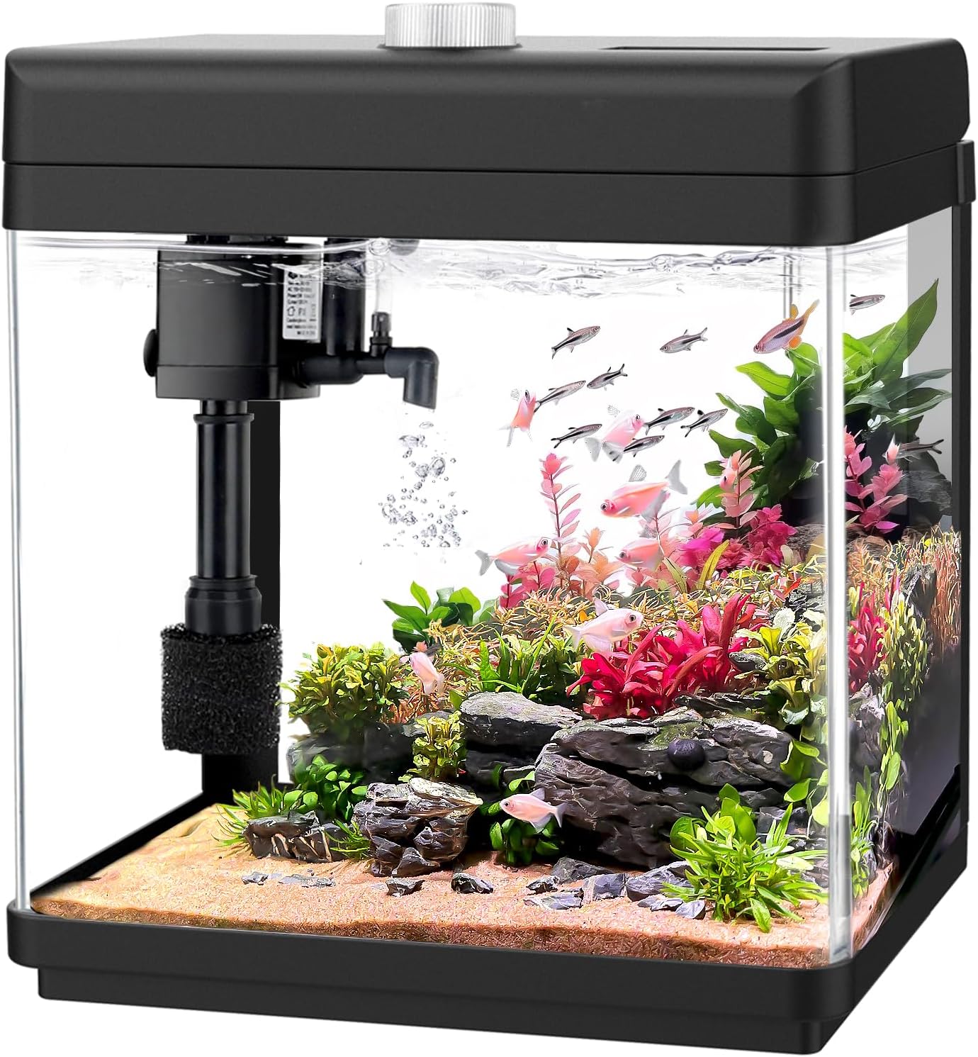 AQQA 5L Aquarium Starter Kits,Nano Fish Tank with Filter and LED Light,Self Cleaning Glass Fish Tank Kit,8 Colors Adjustable Aquarium Tank,for Betta Shrimp Goldfish,Office Desktop Decoration Kids Room