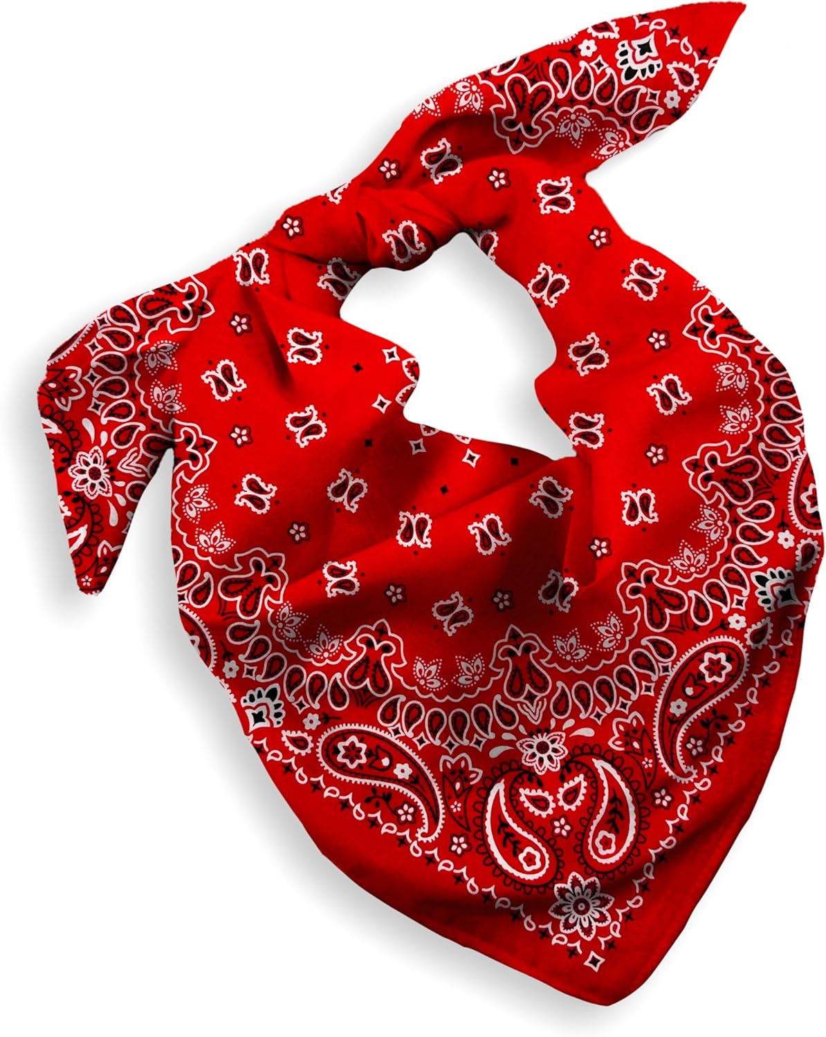 EVERY-VILLE Where EVERYone is Welcome 1 Pack Cotton Bandana for Women Men Gift Packaging - Cowgirl Cowboy Accessory Headband Scarf Neckerchief - Large Paisley Hair Face Covering