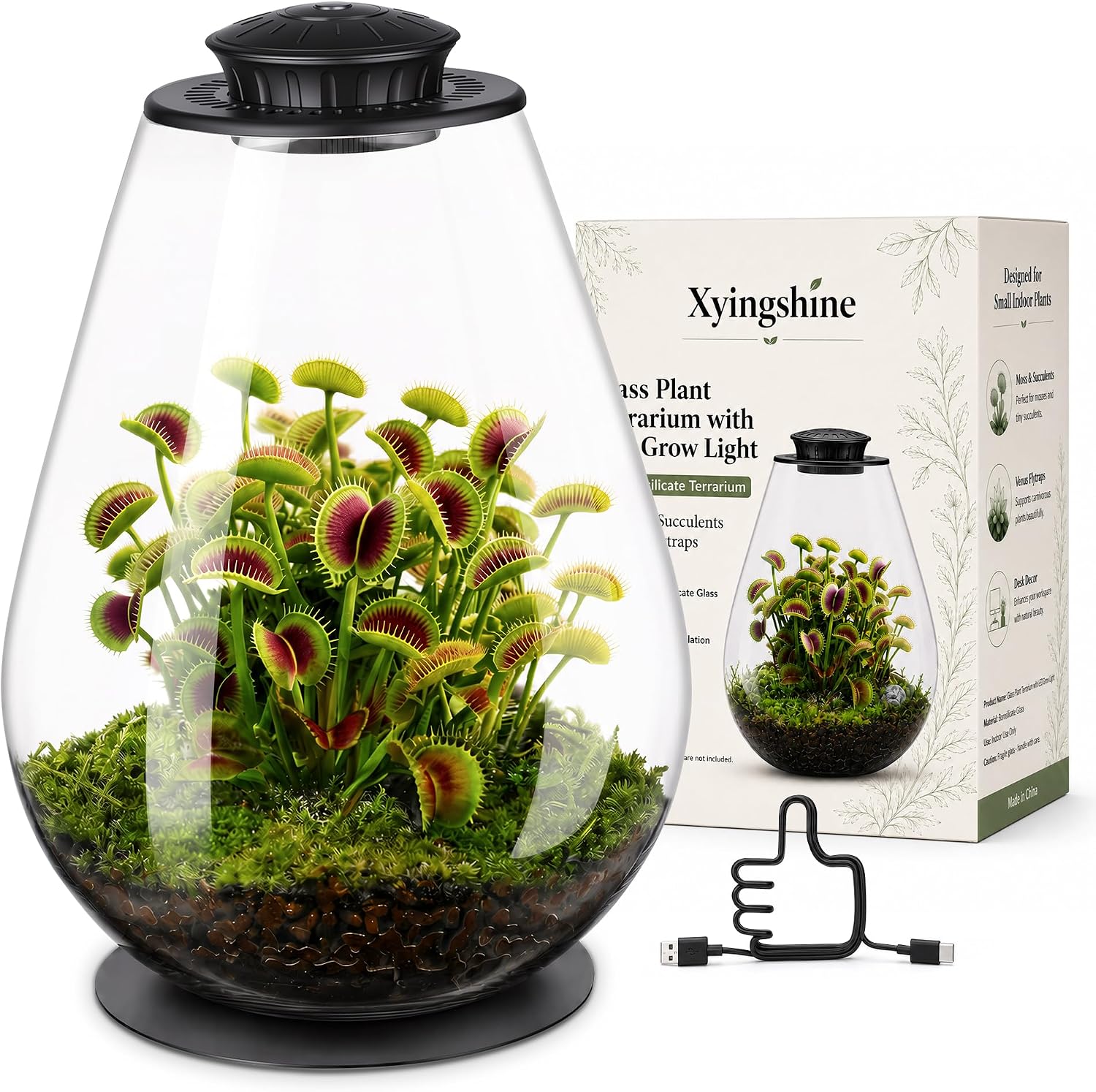 Desktop Glass Plant Terrarium with Dimmable 3-Color Grow Light