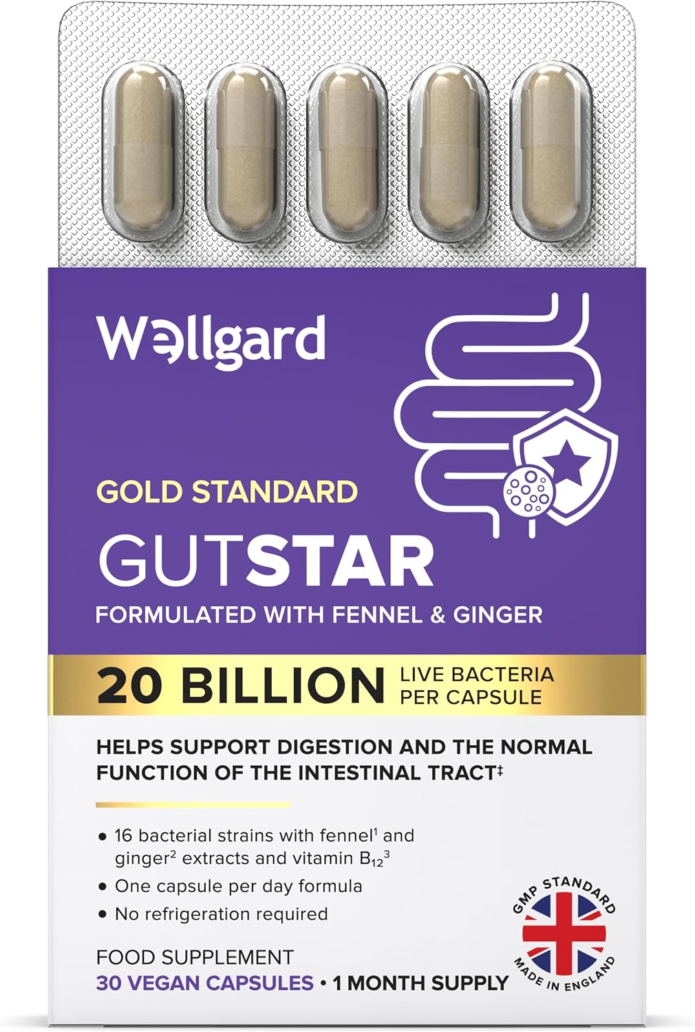 Wellgard Gutstar Probiotics - 16 Strain Probiotics for Gut Health with Fennel and Ginger, Vegan, UK Made