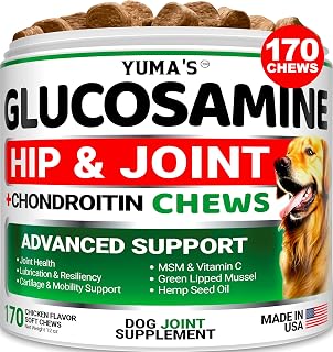 Glucosamine for Dogs - Hip and Joint Supplement for Dogs - 170 Ct - Glucosamine Chondroitin for Dogs Chews - Dog Joint Pain Relief with MSM - Advanced Dog Joint Supplement Health - Mobility Support