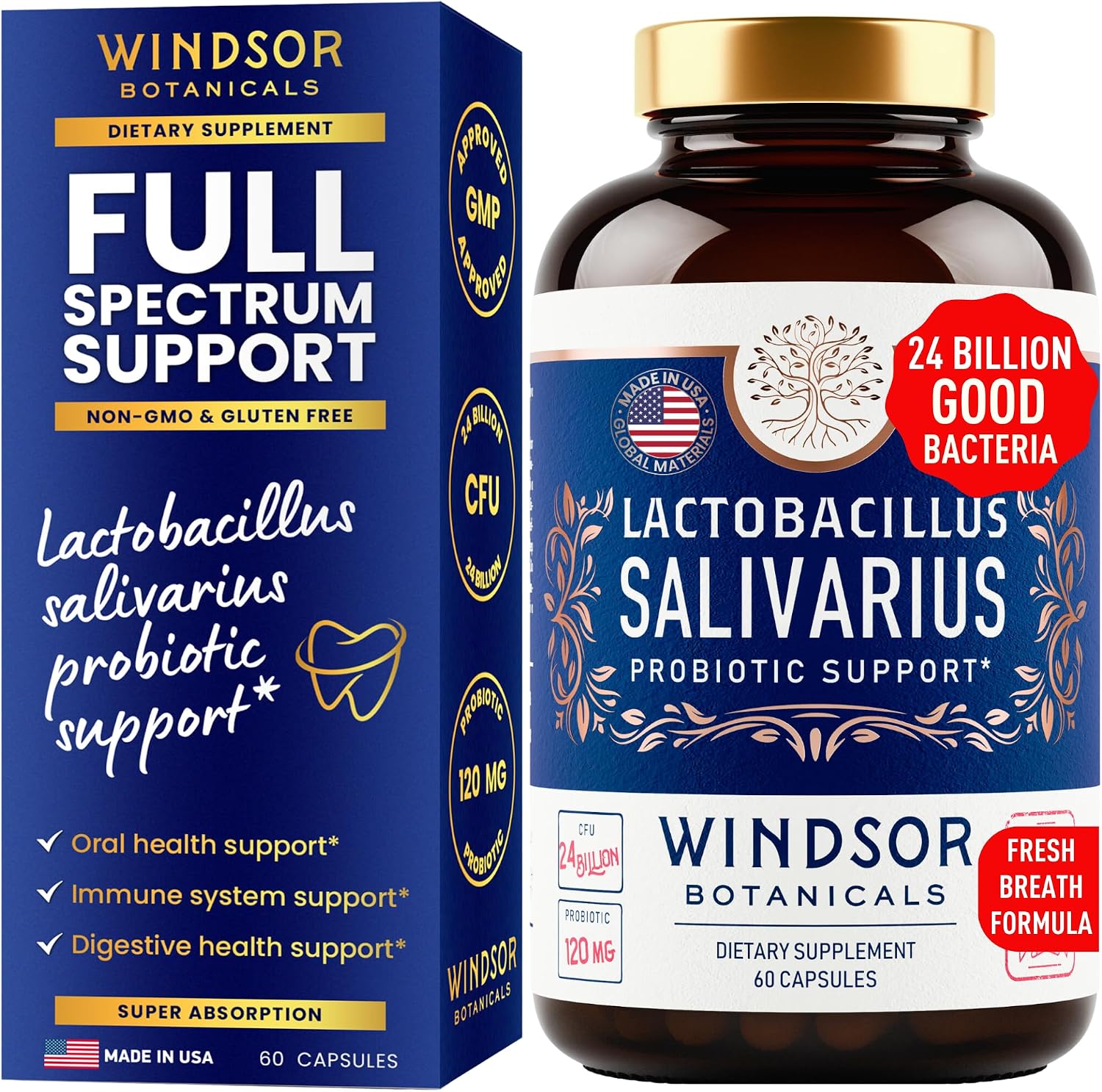 Lactobacillus Salivarius Probiotic - 24bn CFU L Salivarius Dental Probiotics for Teeth and Gums - Bad Breath Treatment for Adults, Immune Support, Digestive Health - 60 Oral Probiotic Capsules
