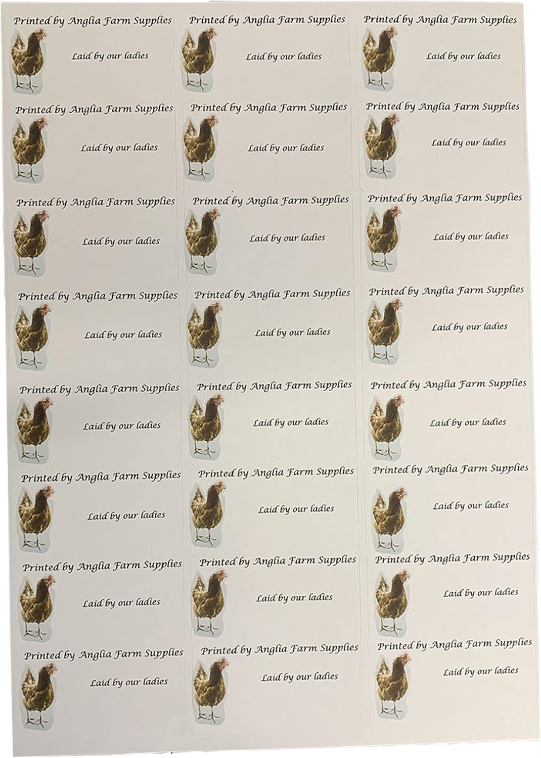 ANGLIA FARM SUPPLIES 24 x Egg Box labels Personalised Chicken Hen Fresh Barn Boxes