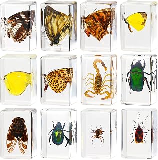 12 Pcs Insect in Resin Specimen Bugs Collection Paperweights Arachnid Resin Specimen Different Insect Specimen Bug Preserved in Resin for Kids Scientific Educational Toy, 12 Styles (Butterfly)