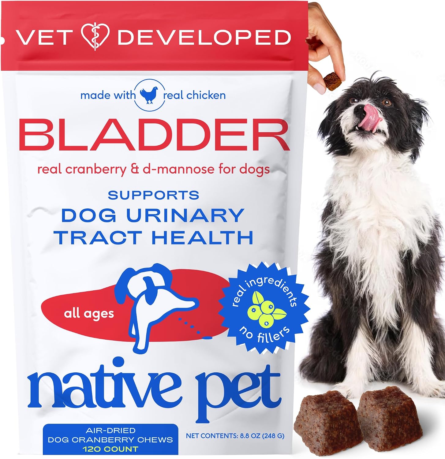 Native Pet Dog UTI Treatment - Cranberry Supplement for Dogs Bladder Control & Kidney Support - Prevent Urinary Tract Infection and Urinary Incontinence - Made with Real Cranberry Extract - 120 Chews