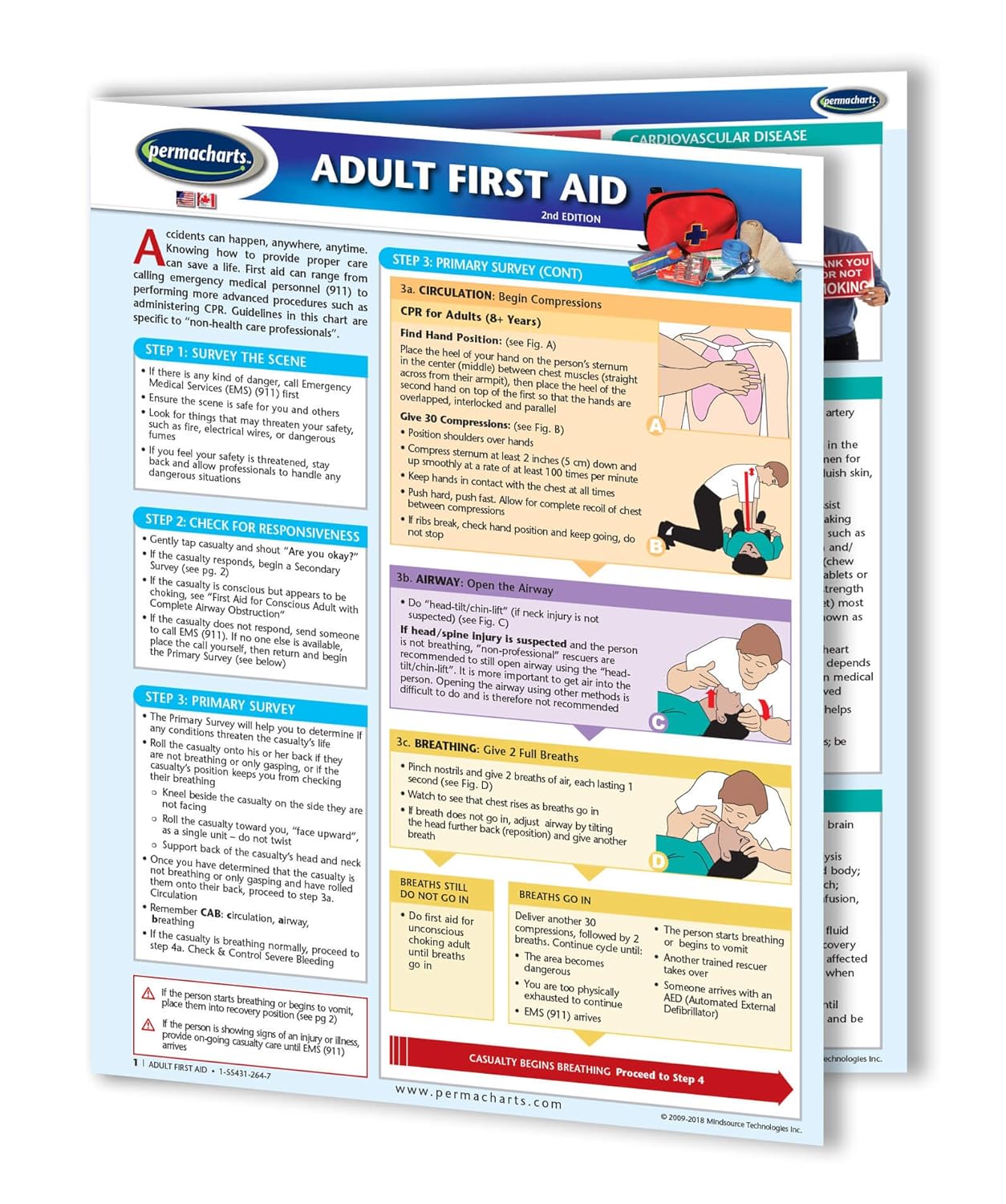 Adult First Aid Guide - Medical - Emergency Quick Reference Guide by Permacharts