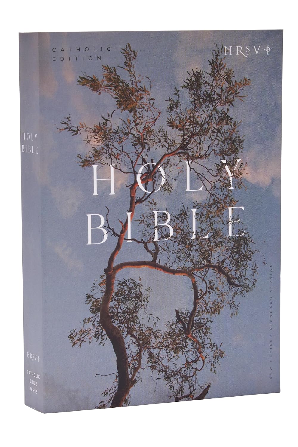 NRSV Catholic Edition Bible, Eucalyptus Paperback (Global Cover Series): Holy Bible