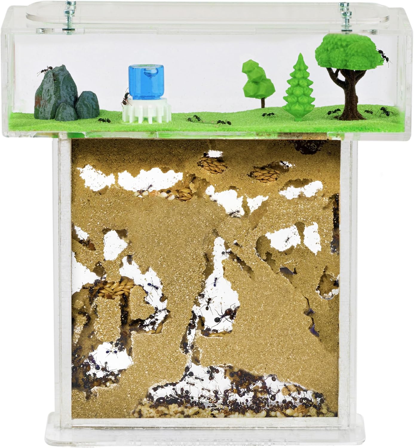 AntHouse - Natural Sand Ant Farm | Acrylic T Kit 15x15x1,5 cm