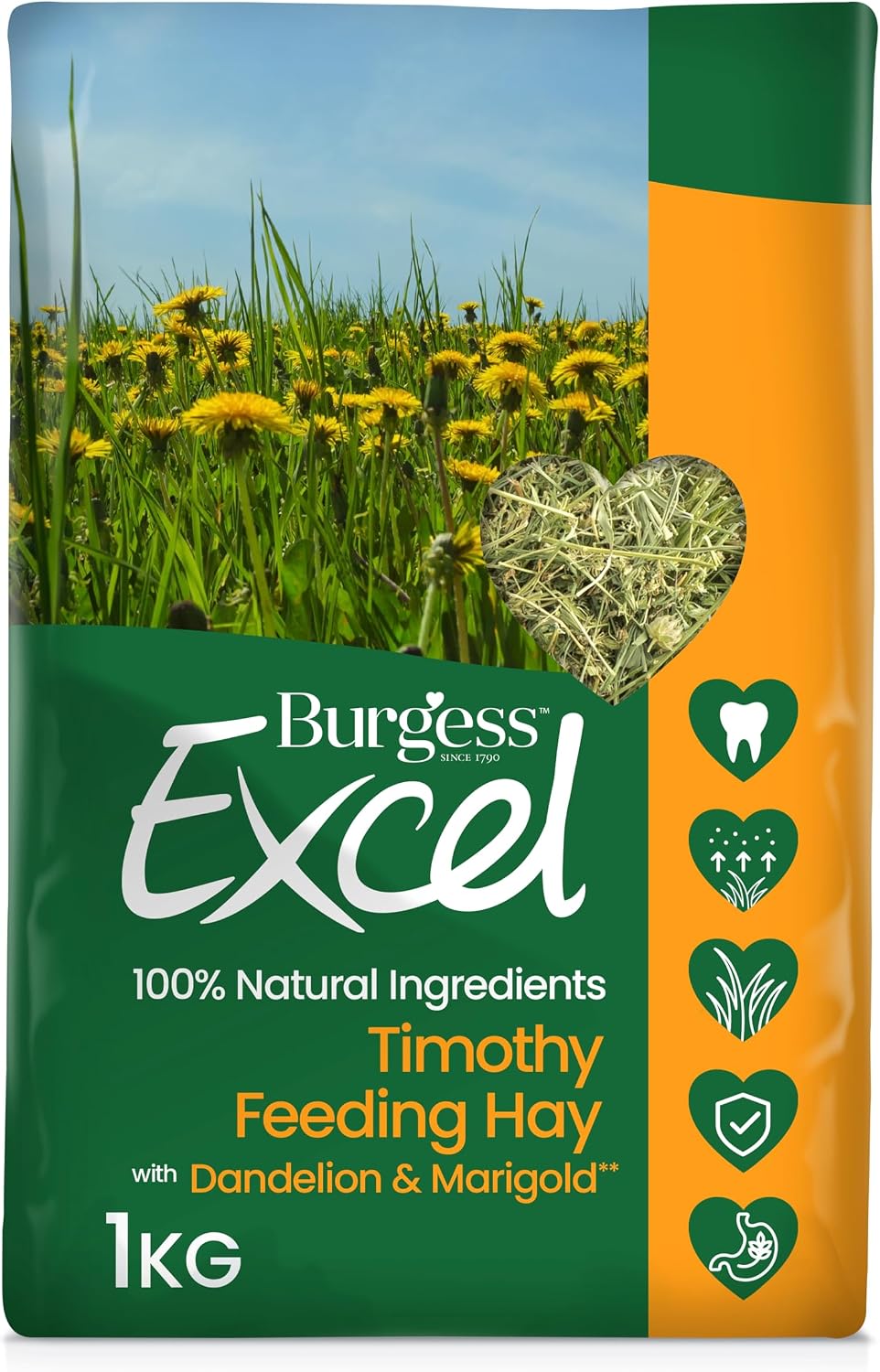 Burgess Excel Feeding Hay with Dandelion and Marigold 1kg