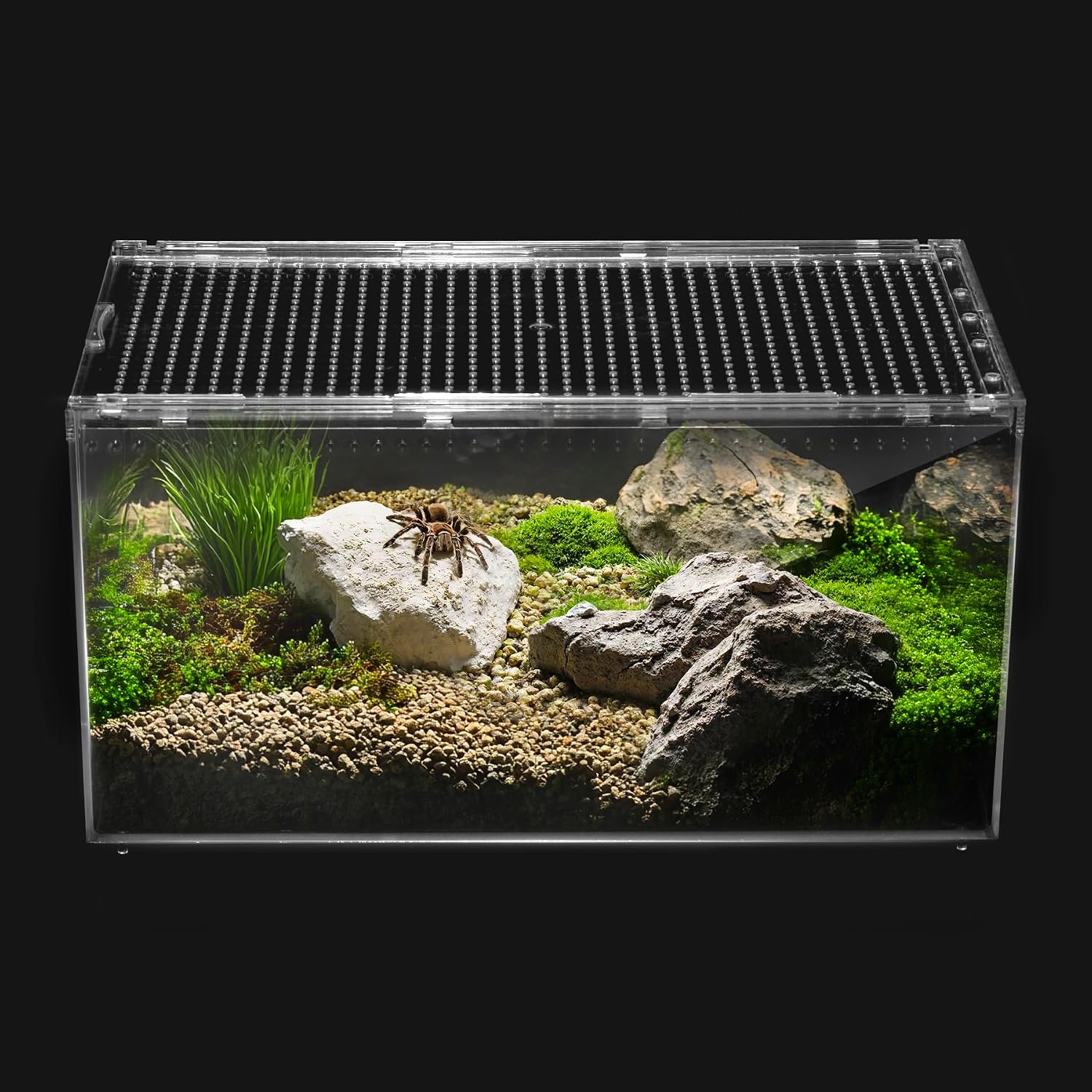 Reptile PC Tank,Escape Proof Magnetic Lid Tarantula Enclosure Large | Easy Clean Seamless Base Hermit Crab Habitat,Stackable Isopod Terrarium,Cross Ventilation Spider Starter Cage,Frog Container