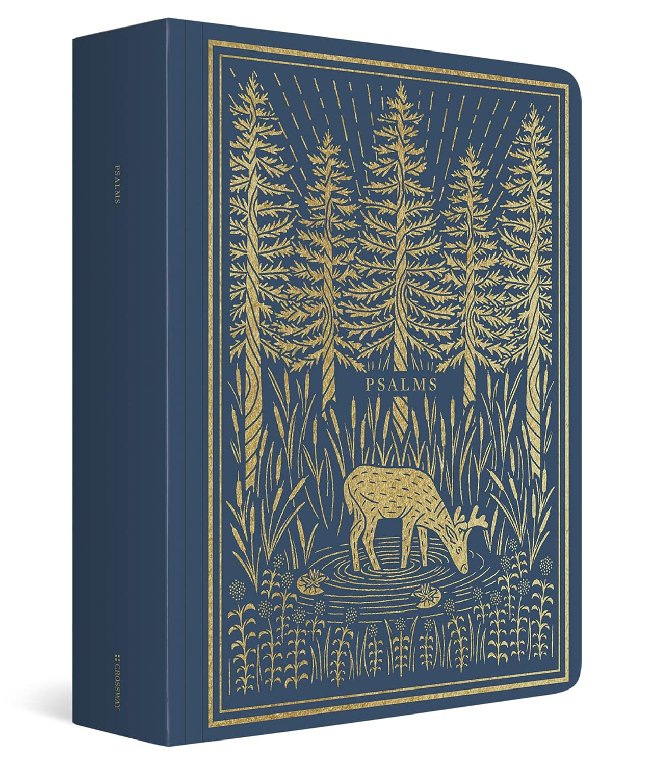 ESV Illuminated Scripture Journal: Psalms: Psalms (Paperback)