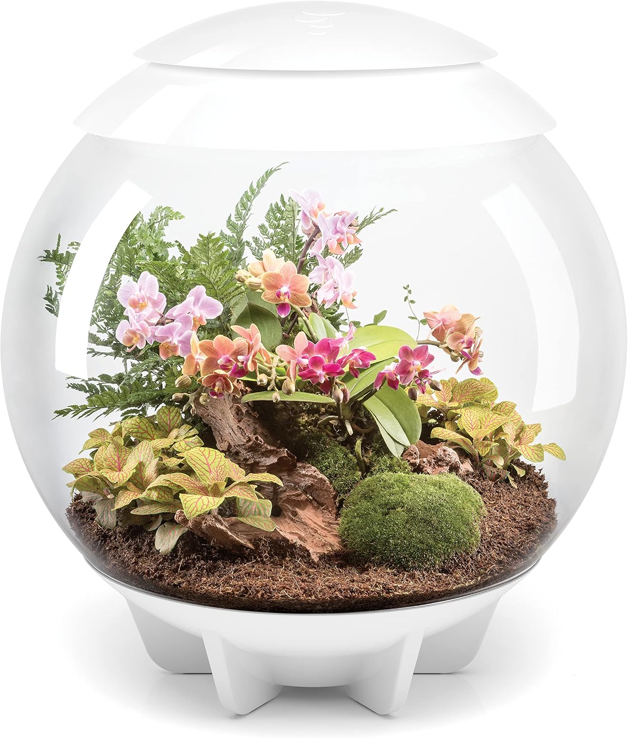 biOrb AIR 60 LED Terrarium - 16 gallon, white (46147)