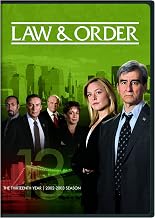 Law & Order: The Thirteenth Year [DVD]