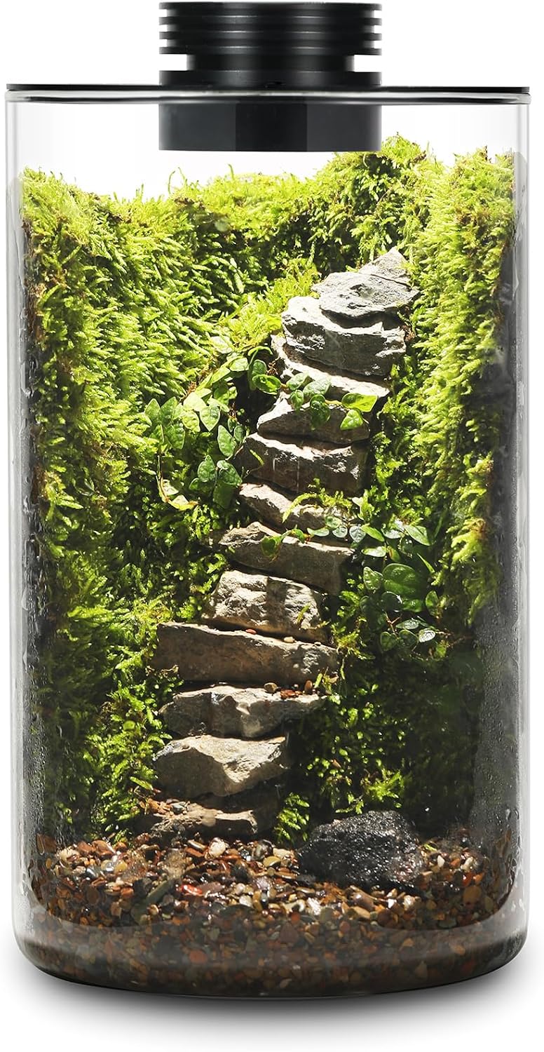 Desktop Glass Plant Terrarium with Grow Light (H:9.8" D:5.9"), for Succulent, Moss, Miniature Gardening Landscape, Betta Fish Tank, Office Home Decoration, Plant Lovers Gifts