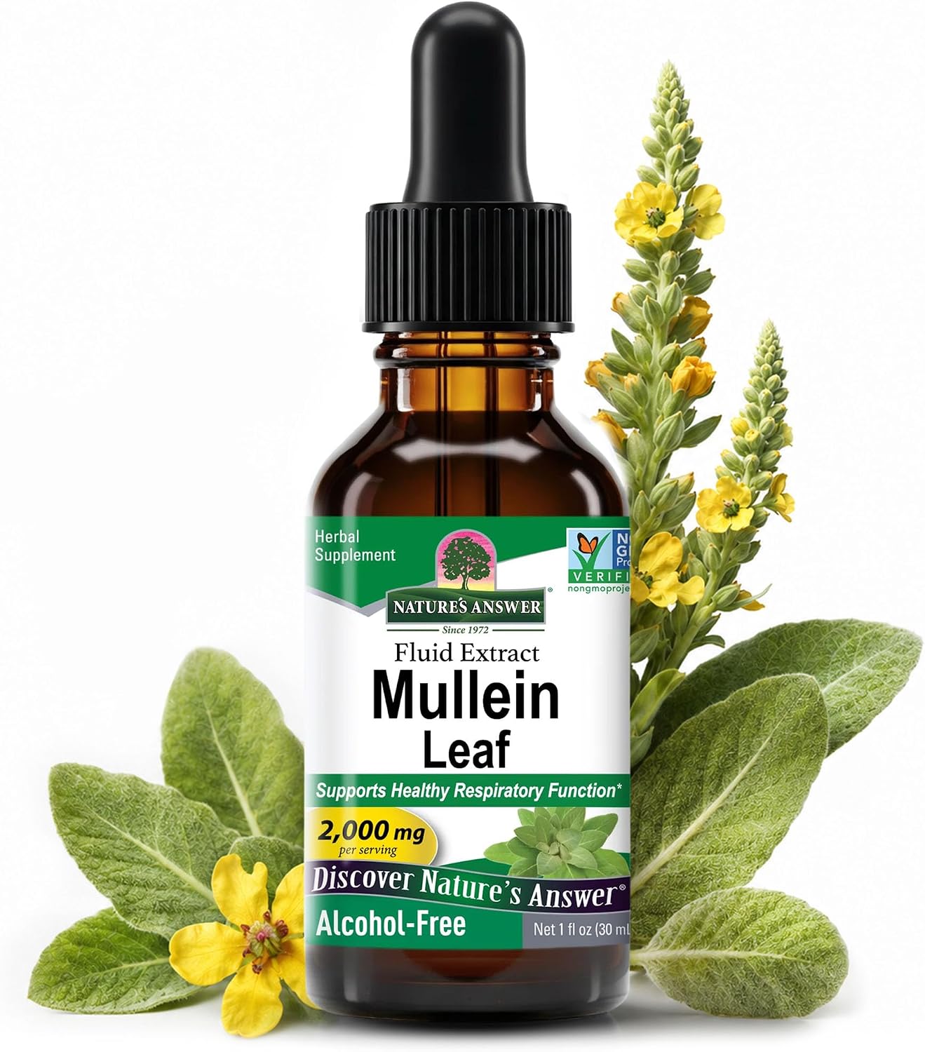 Natures Answer - Mullein Leaf - 30ml