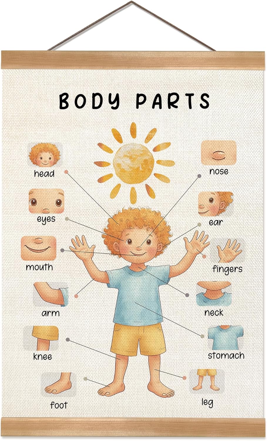 Body Parts Poster, Body Educational Learning Posters Body Parts Learning Wall Chart for Kids, Kindergarten Teaching Supplies, Classroom Poster for Bulletin Board or Classroom Decor 12x16inch(Boys)