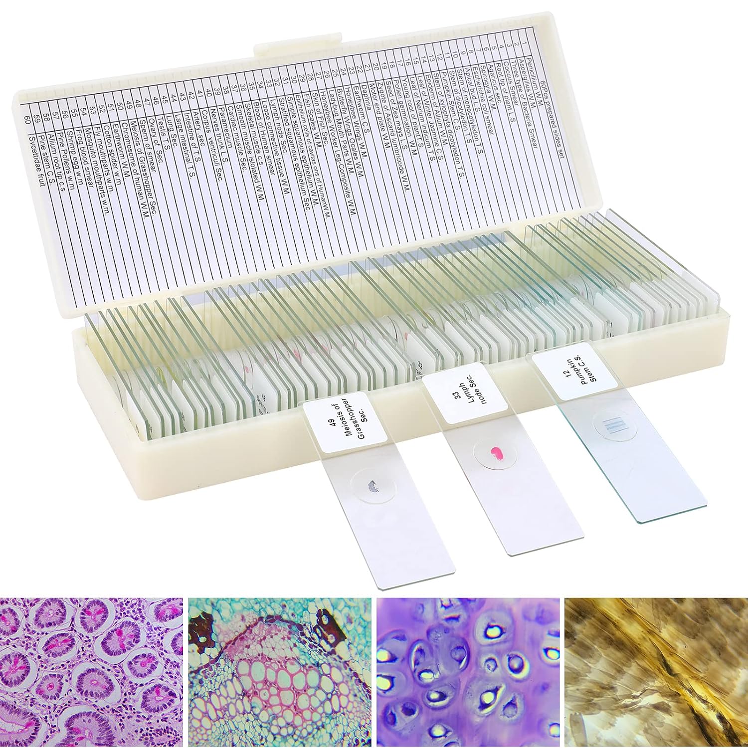 LAKWAR 60 Microscope Slides with Specimens for Kids, Prepared Microscope Slides for Kids Microbiology, Prepared Microscope Slides for Adults